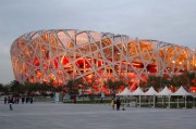 olympic_birdnest